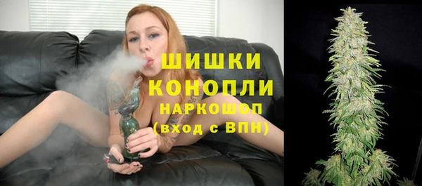 PSILOCYBIN Бородино
