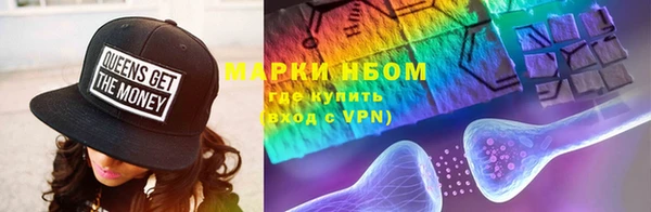 PSILOCYBIN Бородино