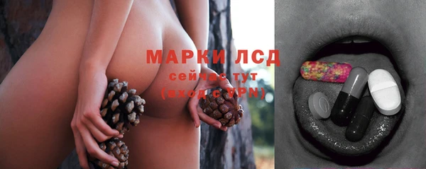 сатива Бугульма