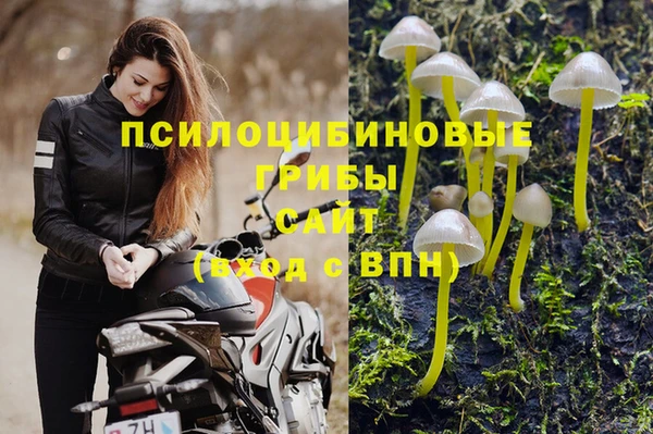 сатива Бугульма