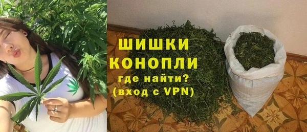 PSILOCYBIN Бородино