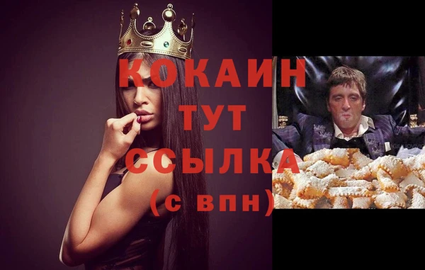 тгк Бронницы